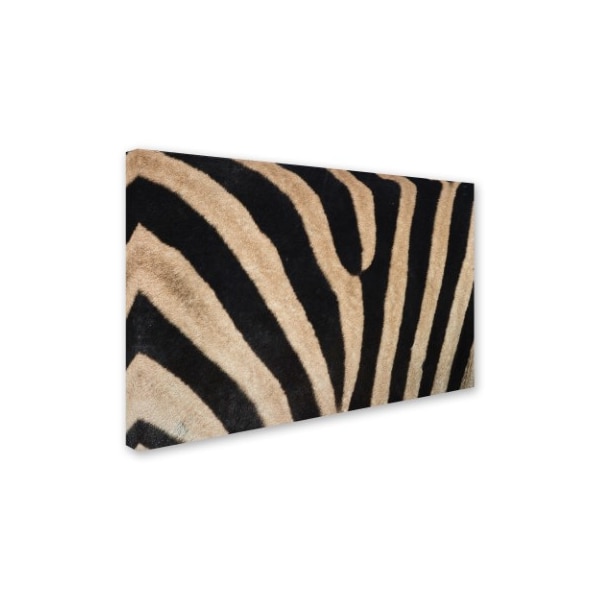 Robert Harding Picture Library 'Zebra Skin' Canvas Art,22x32